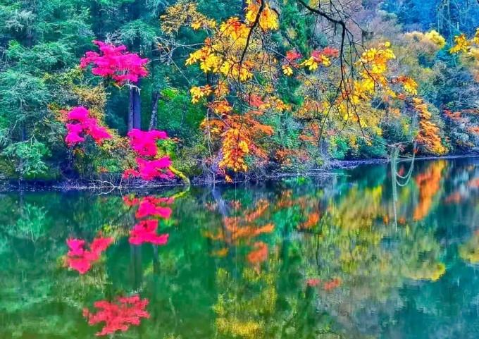 消逝的光芒：信徒