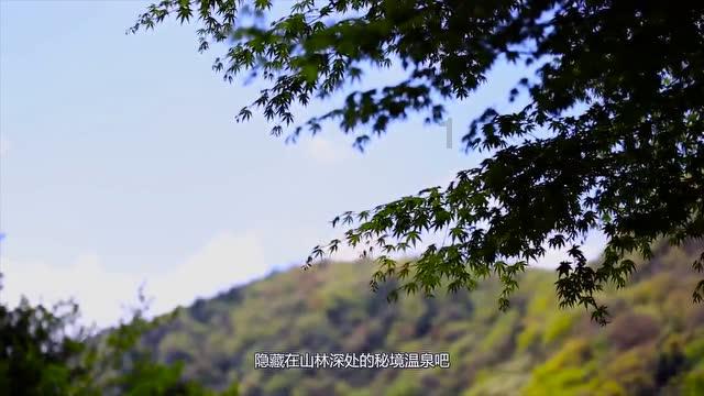 熊出没百层大冒险