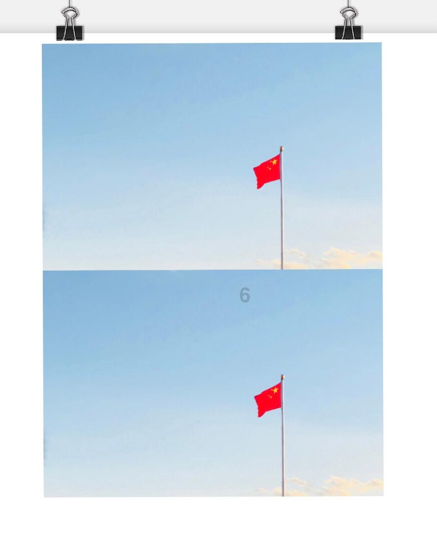 【行摄云南】蒙自：街头白樱绽放 尽显冬日诗意