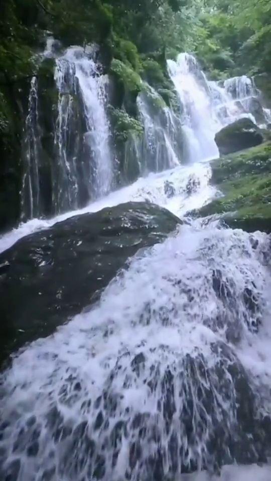 孤独的流浪者救援