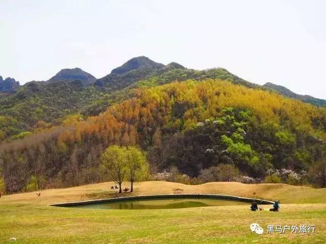 限制令下达,美媒:中国“完全停止”对美国出口镓和锗
