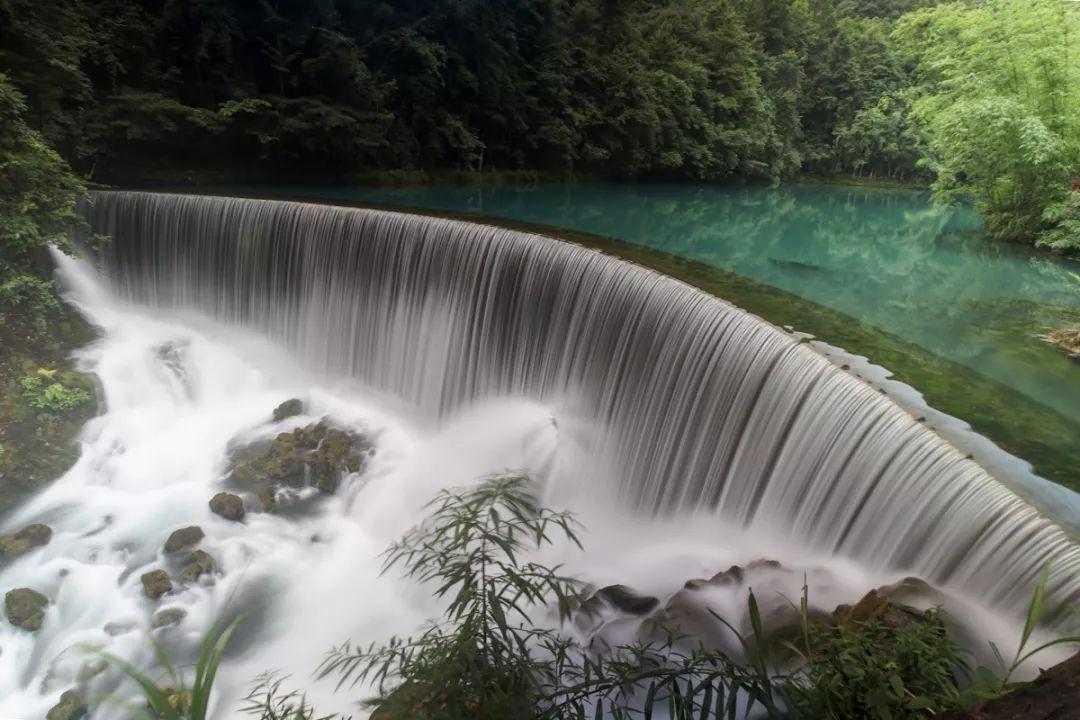 解救金刚鹦鹉